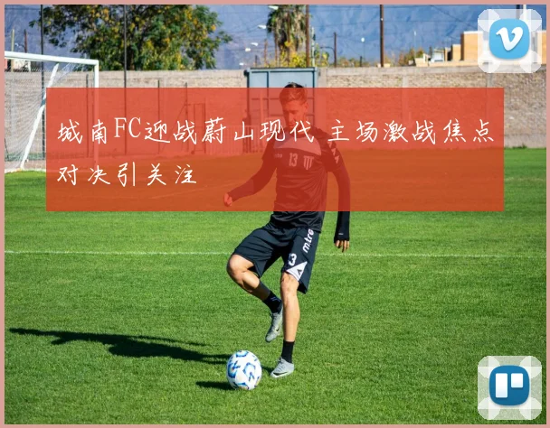 城南FC迎战蔚山现代 主场激战焦点对决引关注