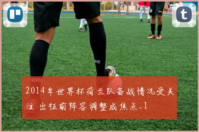 2014年世界杯荷兰队备战情况受关注 出征前阵容调整成焦点_1