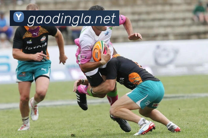 约基奇领跑NBA全明星投票 西部榜首争夺升温东部紧追